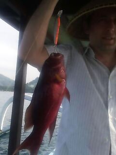 Один групер, большие крючки и деревянная катушка на Бали