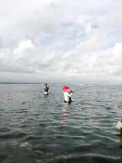 Бали: креветка, поплавок и риф по колено в отлив