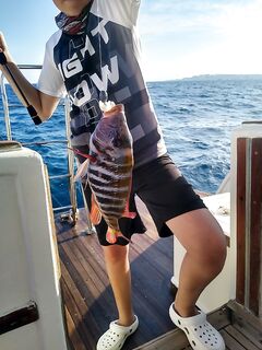 Хургада: первый лодочный день, риф и кальмар на джиге