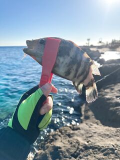 Хургада: край пляжа, флюр 0.25 и рыба в кораллах