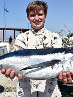 Айя-Напа: марина, сарган и тунец на коротком окне