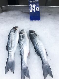 Кипр в августе: первая разведка по бассу на Канавью