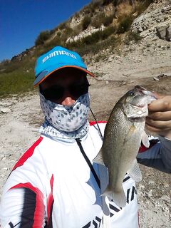 Кипр: Канавью, Эврету и басс на 1.14 в сентябре