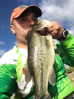 Пафос: Канавью, куст под берегом и басс на 2267 грамм