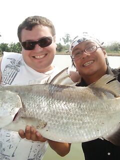 Паттайя: IT Monster, баррамунди и redtail в один день