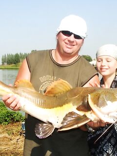 Паттайя: арапайма, араванна и темп без пауз