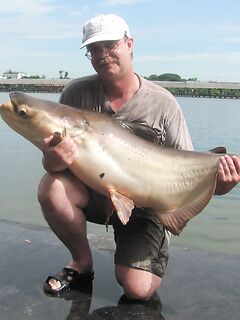 Паттайя: меконг, змееголов и джиг по баррамунди