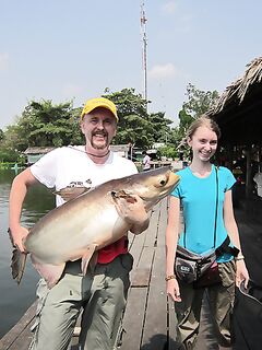 Паттайя: сомовый платник как он есть