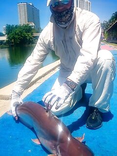 Паттайя: крупные попперы, стримеры и короткий платник