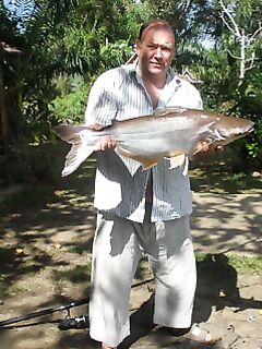 Патонг: рапан, мидия и вечерняя попытка по кальмару