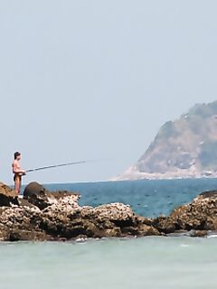 Пхукет: Патонг, кальмар и мидия на камнях