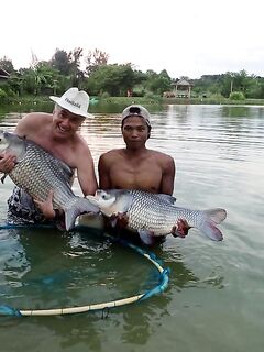 Чалонг: каракатица с камней и меконг на платнике