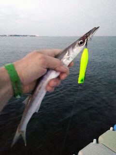 Кумкёй: отлив, понтон и рифы до половины восьмого