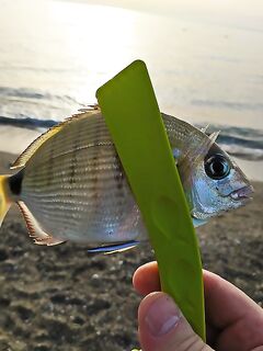 Бельдиби: три комплекта, микроджиг 2-3 г и море под ветер