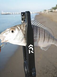 Белек: пляжный отель, топвотеры и металл на меляке