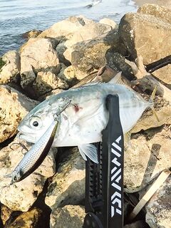 Белек: большие топвотеры и сход трофея у самого берега