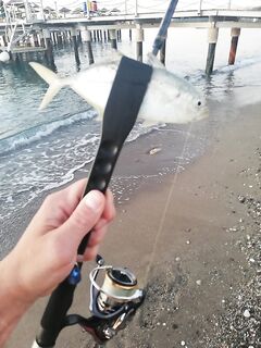 Кемер: Marukyu, булеры 3-5 г и пилькеры до 7 г