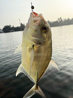 Бентота: береговая рыбалка на микроджиг между океаном и рекой