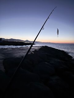 Алания: паламут на пилькер и сарган на бомбарду с курицей