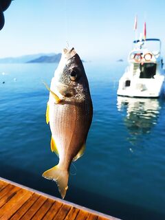 Фетхие: причал и ультратонкие самодуры по Эгейскому морю
