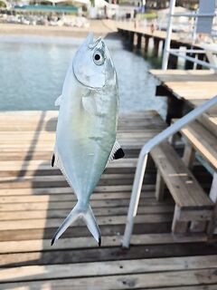 Рыбалка в Турции с ультралайтом, бомбардой и нереисом