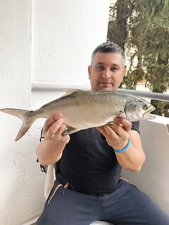 Рыбалка в Ичмелере в порту: бонито на живца и редкие выходы