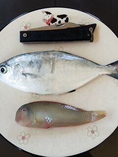 Чамьюва с куриной кожей: отводной по песчаному пляжу