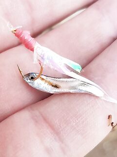 Плавающая бомбарда с белыми стримерами держит лаврака в прибое