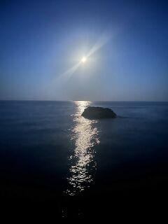 Понизовка, Marukyu и первые рыбы Чёрного моря