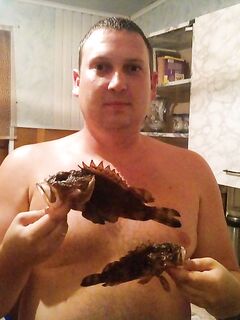 Красная нимфа и две скорпены на анапском волнорезе