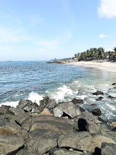 Абалангода под окнами дала мне сельдь на поппер и каранксов к рому