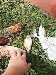 Три обрыва на кальмара и рыбы которых местный не дал мне потрогать