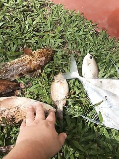 Свою палку на Шри Ланку брать проще чем искать лодку со снастями