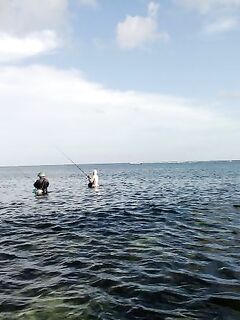 Санурский отлив открывал мне дорогу к рифу по колено в океане