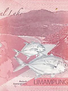 Лодка на Сиаргао оказалась дешевле а путь через Себу понятнее