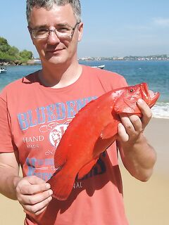 Kimal дважды выводил меня с Jungle Beach на одну и ту же тридцатиметровую точку