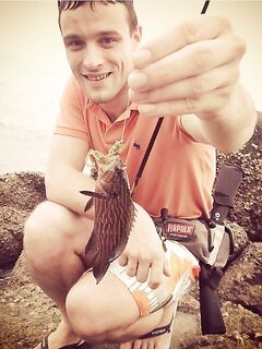 Равай оставил мне разноцветных гномов и сарганов которые так и не ударили