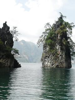 Патонг оставил мне мидию рапана и пустой вечер по кальмару