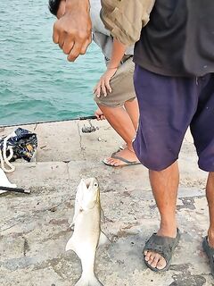 После берега в Паттайе я уже смотрел в сторону лодки ради тунца и марлина