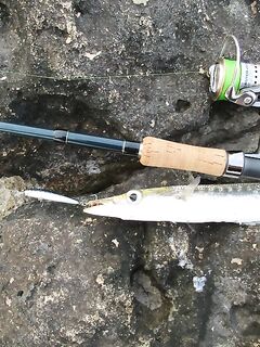 Айя-Напа дала мне двадцать минут барракуды а потом метрового флейторыла