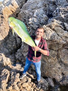 Махи у Ташуджу подтвердили что крупная рыба снова подошла к берегу