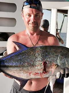 Египет быстро учит договариваться с берегом патрулями и кэпами на лодке