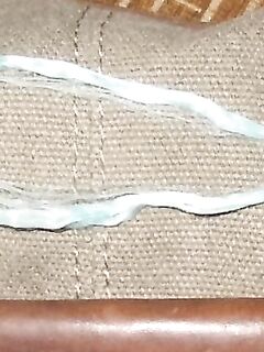 Коньяалты держит паламута у берега а кальмара и осьминога запускает следом