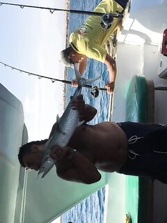 Хургада дала нам утренний троллинг а донка добрала основной вес уже после