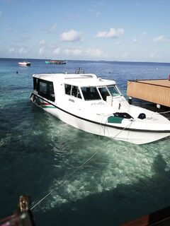 Фихалхохи молчал до финиша а потом отдал мне акулу с меня ростом