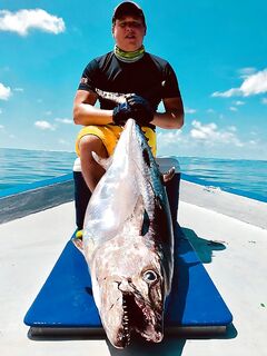 Мальдивы 2018 выключили кастинг но открыли нам желтоперого тунца и парусника