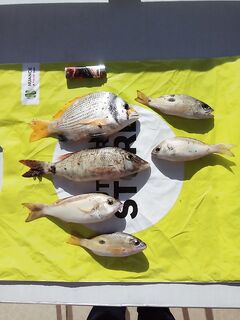 Котлы у Фламинго в Умм-эль-Кувейне отдали мне ключик только в последний день