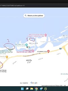 Закрытый пляж Рас-эль-Хаймы дал мне первых барракуд а утром подсунул каракатицу