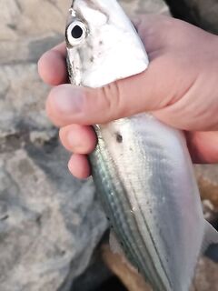 Местный пакистанец показал мне как пустой крючок с железкой обыгрывает спиннинг в отвес