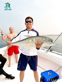 Котлы у Абу-Даби потребовали малька 2-3 см и пилькеры по 20-22 грамма